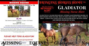 MISSING EQUINE Gladiator, Near Hartsville, TN, 37074